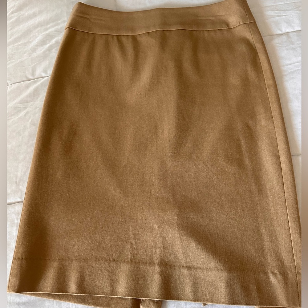 Banana Republic Skirt